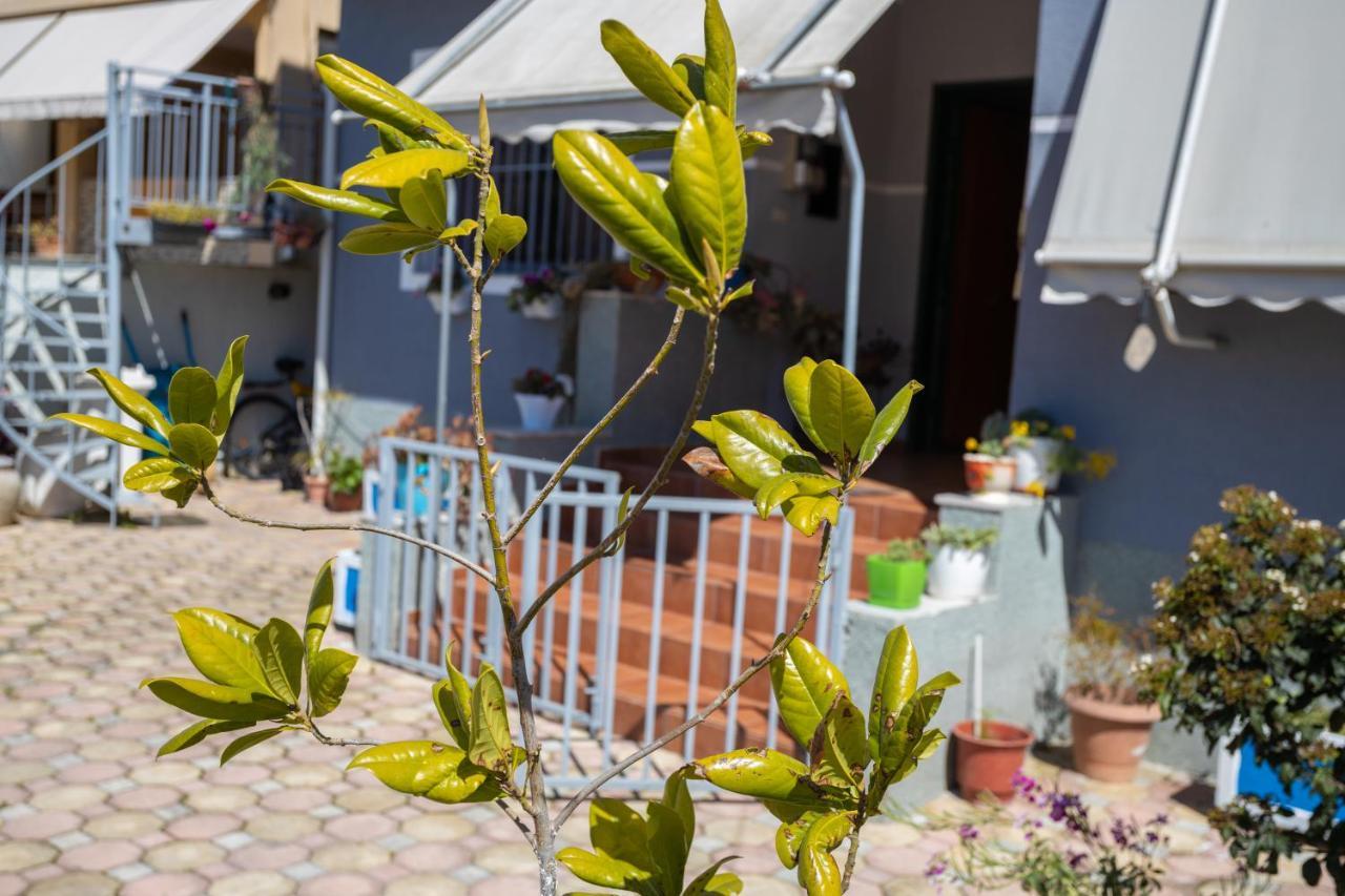 Vila Aulona Vlorë Exteriér fotografie