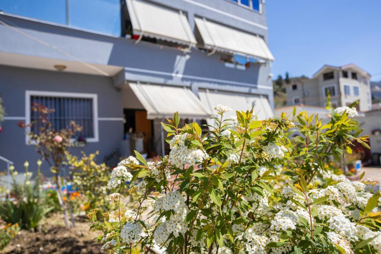 Vila Aulona Vlorë Exteriér fotografie