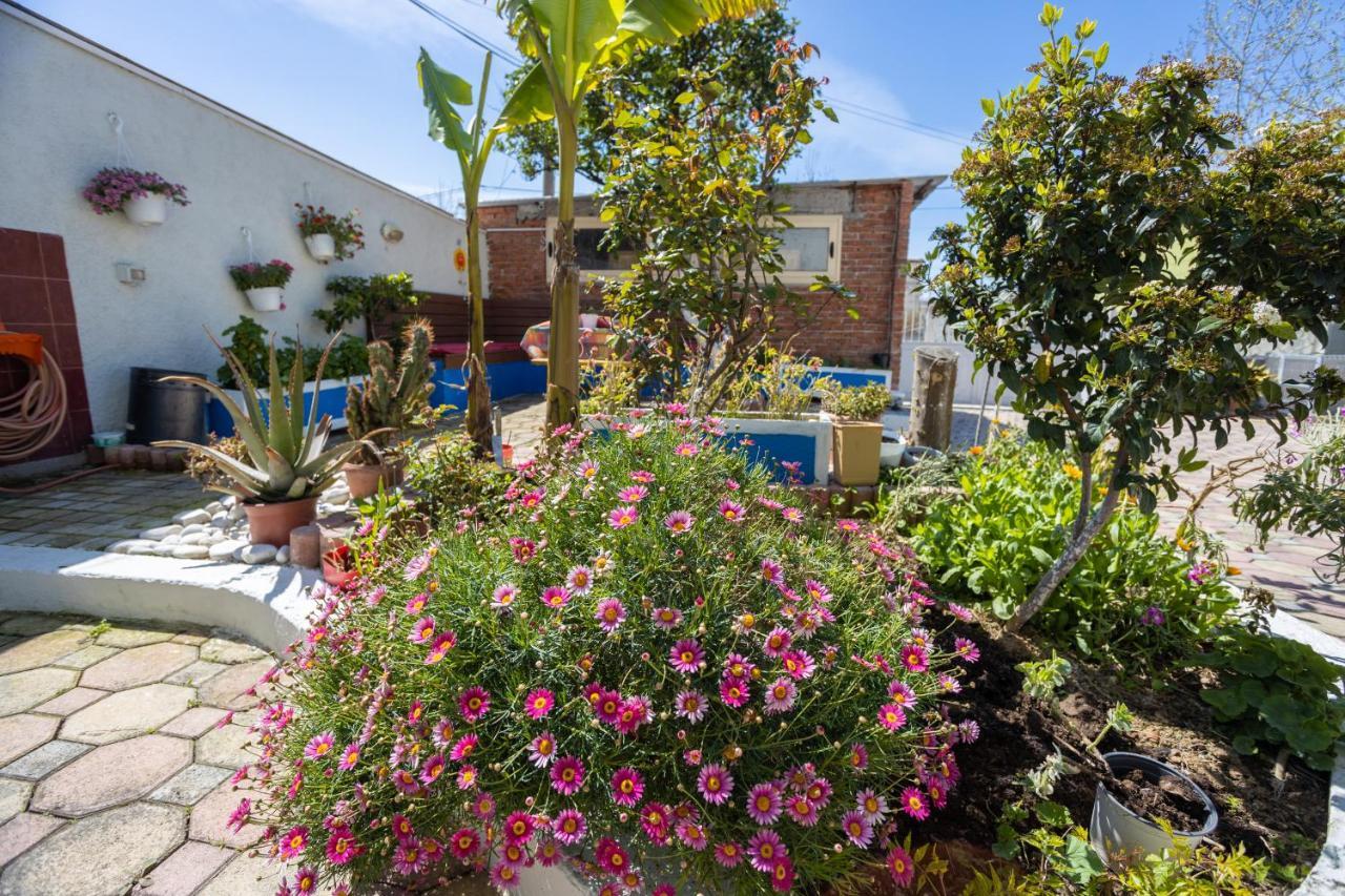 Vila Aulona Vlorë Exteriér fotografie